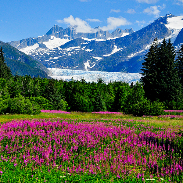 Medenhall Glacier Outlook, Juneau, Alaska